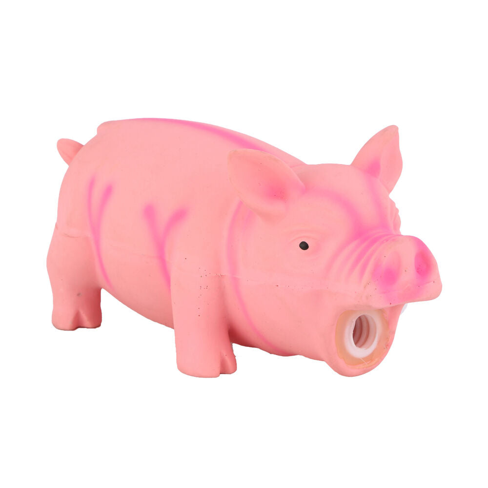 Dog toy Hearts & Homies Oxford